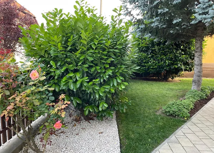 Lili * Balatonkeresztúr